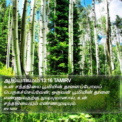ஆதியாகமம் 13:16 TAMIRV Bible Verse Image