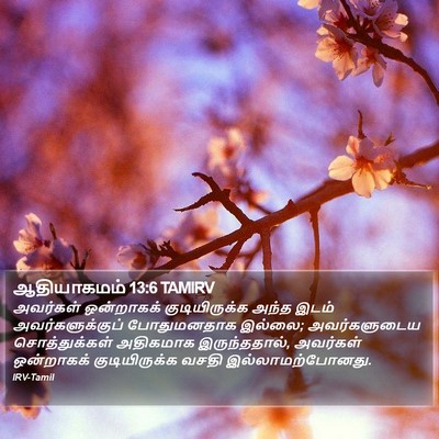 ஆதியாகமம் 13:6 TAMIRV Bible Verse Image