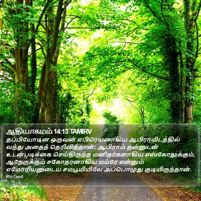 ஆதியாகமம் 14:13 TAMIRV Bible Verse Image