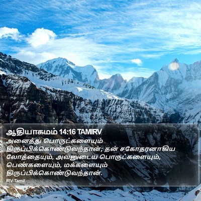 ஆதியாகமம் 14:16 TAMIRV Bible Verse Image