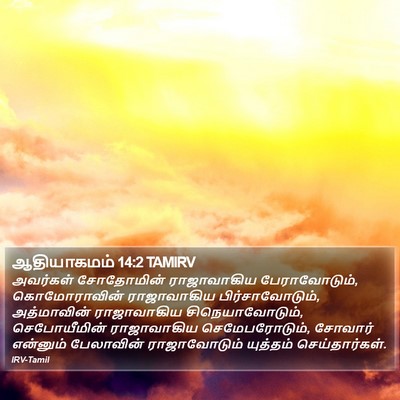 ஆதியாகமம் 14:2 TAMIRV Bible Verse Image