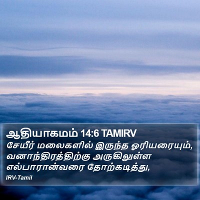 ஆதியாகமம் 14:6 TAMIRV Bible Verse Image