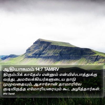 ஆதியாகமம் 14:7 TAMIRV Bible Verse Image