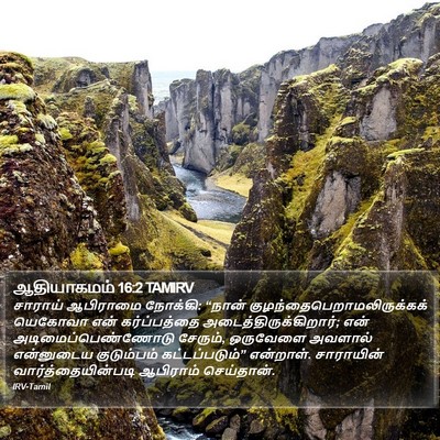 ஆதியாகமம் 16:2 TAMIRV Bible Verse Image