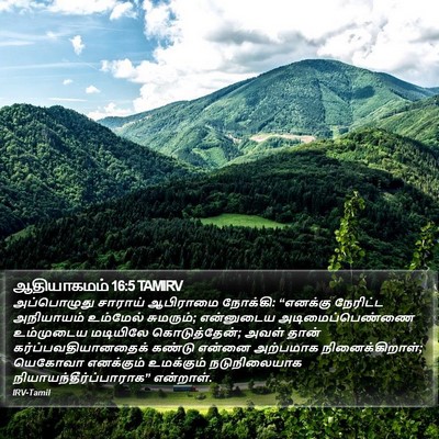 ஆதியாகமம் 16:5 TAMIRV Bible Verse Image