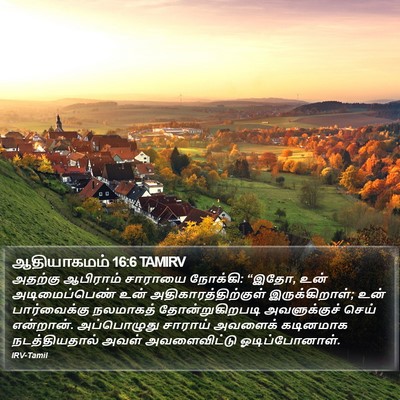 ஆதியாகமம் 16:6 TAMIRV Bible Verse Image