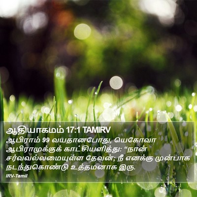 ஆதியாகமம் 17:1 TAMIRV Bible Verse Image