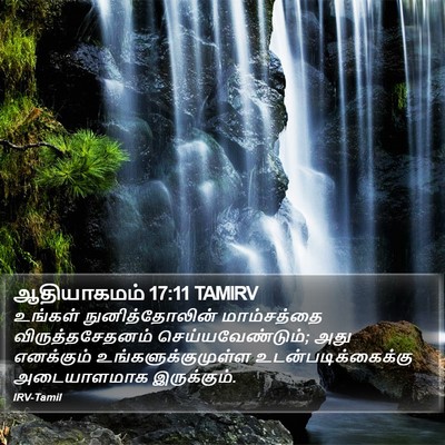 ஆதியாகமம் 17:11 TAMIRV Bible Verse Image