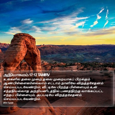 ஆதியாகமம் 17:12 TAMIRV Bible Verse Image