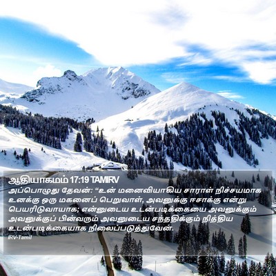 ஆதியாகமம் 17:19 TAMIRV Bible Verse Image