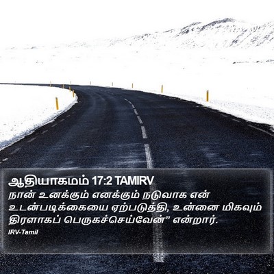 ஆதியாகமம் 17:2 TAMIRV Bible Verse Image
