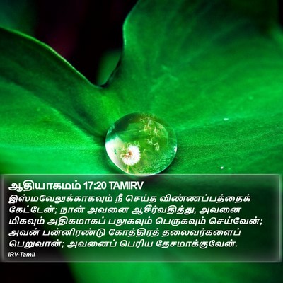 ஆதியாகமம் 17:20 TAMIRV Bible Verse Image