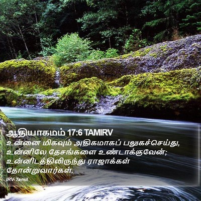 ஆதியாகமம் 17:6 TAMIRV Bible Verse Image