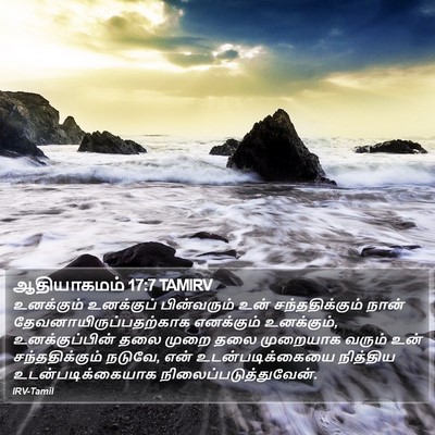 ஆதியாகமம் 17:7 TAMIRV Bible Verse Image