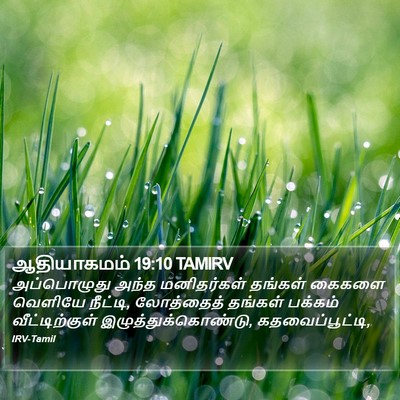 ஆதியாகமம் 19:10 TAMIRV Bible Verse Image