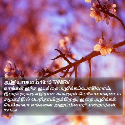 ஆதியாகமம் 19:13 TAMIRV Bible Verse Image