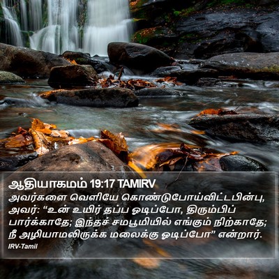 ஆதியாகமம் 19:17 TAMIRV Bible Verse Image