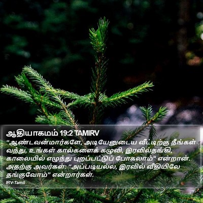 ஆதியாகமம் 19:2 TAMIRV Bible Verse Image