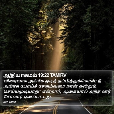 ஆதியாகமம் 19:22 TAMIRV Bible Verse Image
