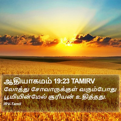 ஆதியாகமம் 19:23 TAMIRV Bible Verse Image