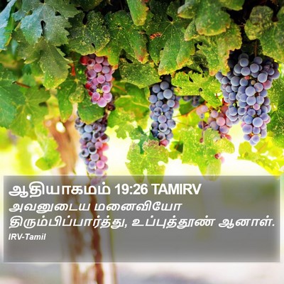 ஆதியாகமம் 19:26 TAMIRV Bible Verse Image