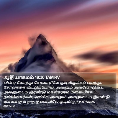 ஆதியாகமம் 19:30 TAMIRV Bible Verse Image