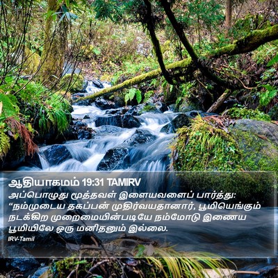 ஆதியாகமம் 19:31 TAMIRV Bible Verse Image