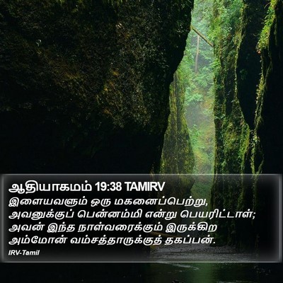 ஆதியாகமம் 19:38 TAMIRV Bible Verse Image