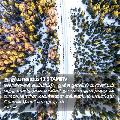 ஆதியாகமம் 19:5 TAMIRV Bible Verse Image