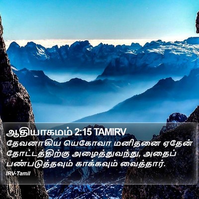 ஆதியாகமம் 2:15 TAMIRV Bible Verse Image