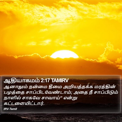ஆதியாகமம் 2:17 TAMIRV Bible Verse Image