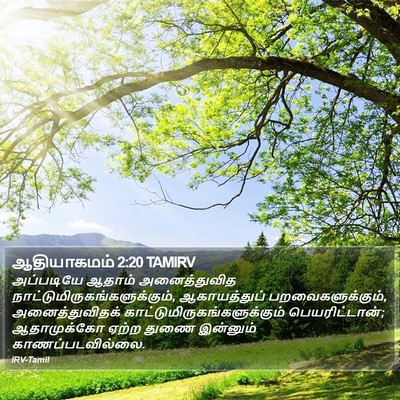 ஆதியாகமம் 2:20 TAMIRV Bible Verse Image
