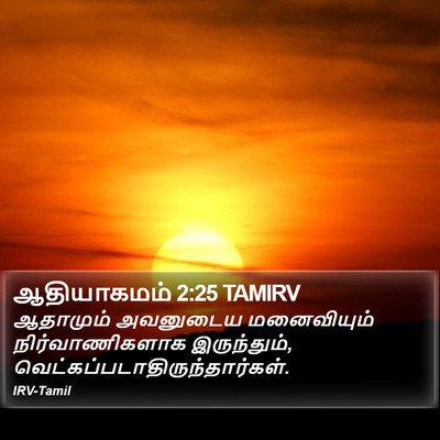 ஆதியாகமம் 2:25 TAMIRV Bible Verse Image