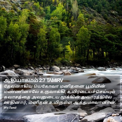 ஆதியாகமம் 2:7 TAMIRV Bible Verse Image