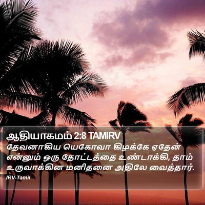 ஆதியாகமம் 2:8 TAMIRV Bible Verse Image