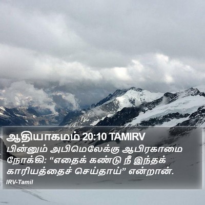 ஆதியாகமம் 20:10 TAMIRV Bible Verse Image