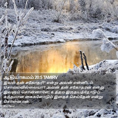 ஆதியாகமம் 20:5 TAMIRV Bible Verse Image