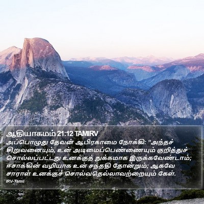 ஆதியாகமம் 21:12 TAMIRV Bible Verse Image
