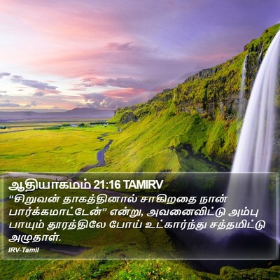 ஆதியாகமம் 21:16 TAMIRV Bible Verse Image