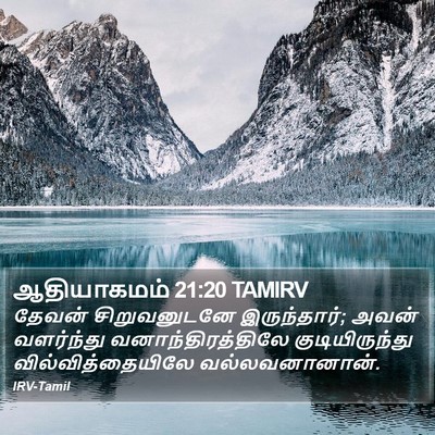 ஆதியாகமம் 21:20 TAMIRV Bible Verse Image