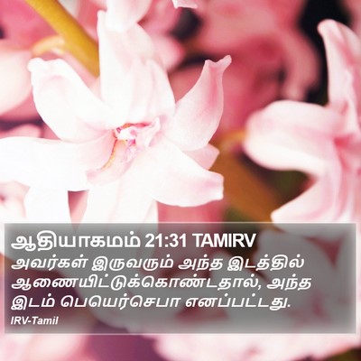 ஆதியாகமம் 21:31 TAMIRV Bible Verse Image