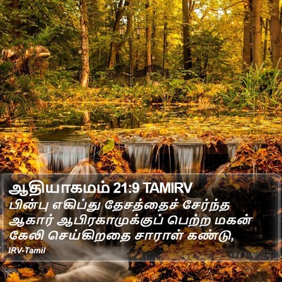 ஆதியாகமம் 21:9 TAMIRV Bible Verse Image
