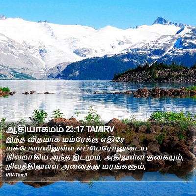 ஆதியாகமம் 23:17 TAMIRV Bible Verse Image