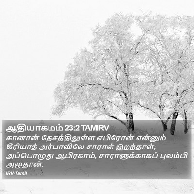ஆதியாகமம் 23:2 TAMIRV Bible Verse Image
