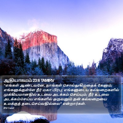 ஆதியாகமம் 23:6 TAMIRV Bible Verse Image