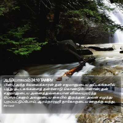 ஆதியாகமம் 24:10 TAMIRV Bible Verse Image