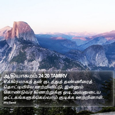 ஆதியாகமம் 24:20 TAMIRV Bible Verse Image