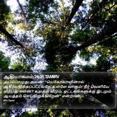 ஆதியாகமம் 24:31 TAMIRV Bible Verse Image
