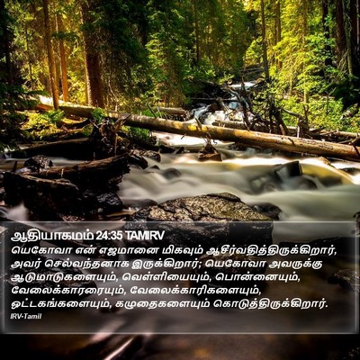 ஆதியாகமம் 24:35 TAMIRV Bible Verse Image