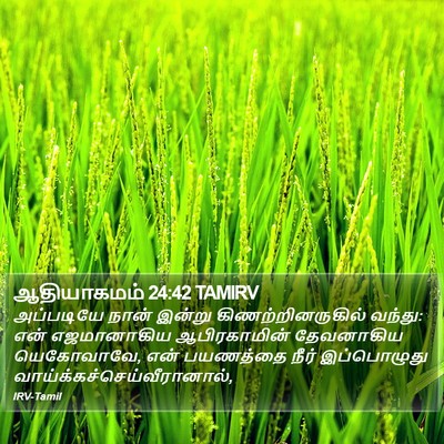 ஆதியாகமம் 24:42 TAMIRV Bible Verse Image